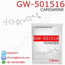 GSK-516 Sarms Raw Poudre Gw-501516 (Cardarine) 317318-70-0 Régule la combustion des graisses